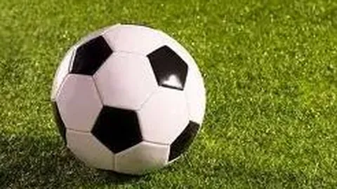 文化消费热潮映射市场需求变迁（月度消费洞察）