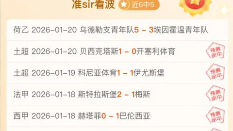 藏历新年年货集市：热闹中庆新春，传统风情焕新姿