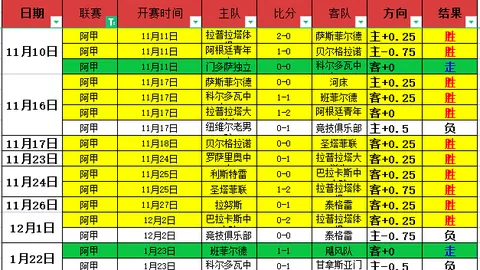 博洛尼亚2-3不敌维罗那，意甲赛场再爆冷门